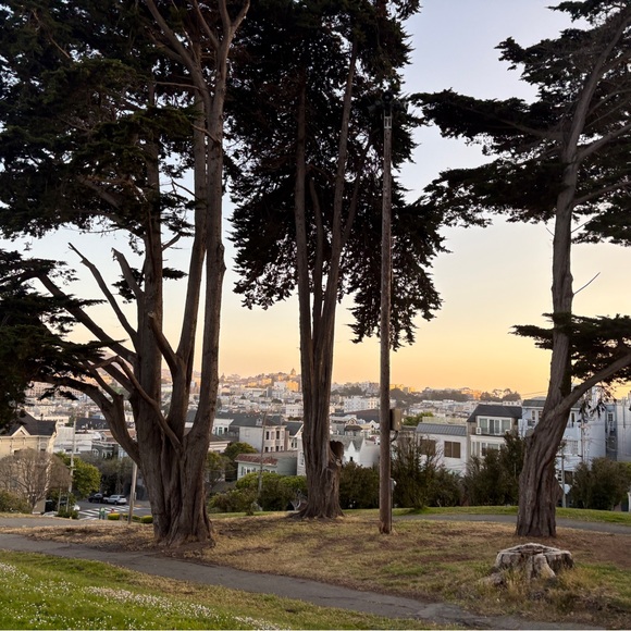 Meet your Posher, Julia - Picture 1 of 1